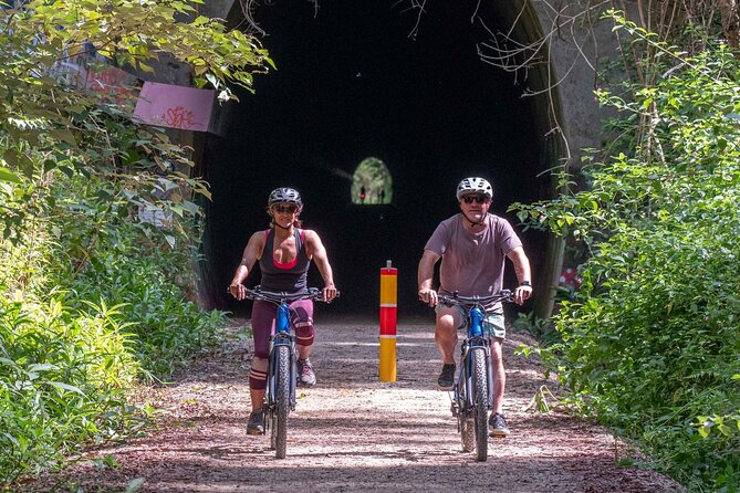 Glow Worm Tunnel Evening Guided Tour - Wildlife on the way: what you might see beyond glow worms