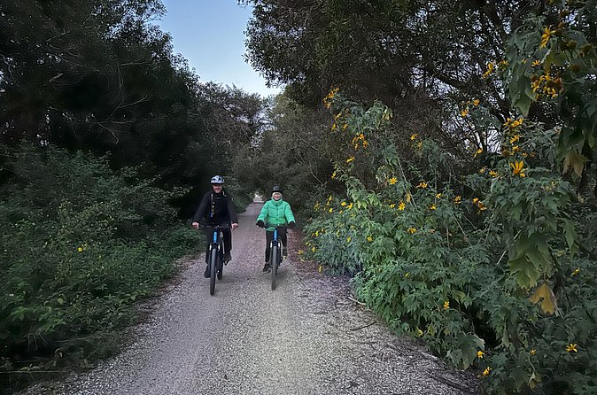 Glow Worm Tunnel Evening Guided Tour - E-bike comfort: who it suits and what to expect from the ride