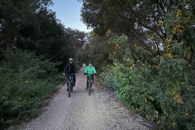 Glow Worm Tunnel Evening Guided Tour - Price in context: is $89.66 good value for this glow-worm evening?