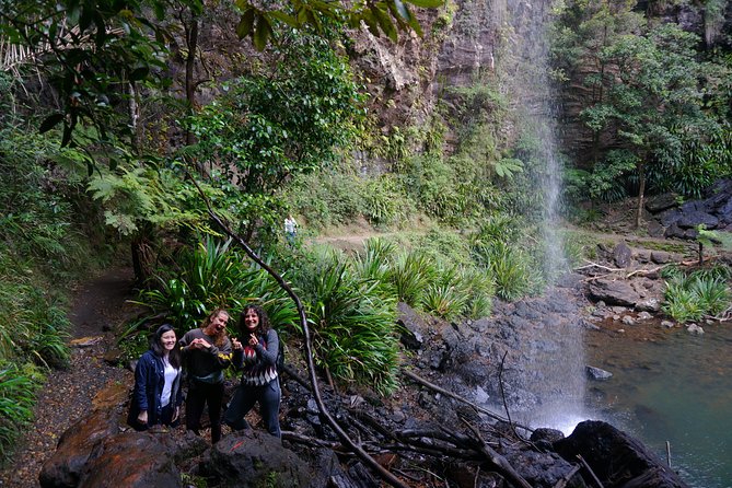 Glow Worms + Day/Night Rainforest & Waterfalls Experience - Food and comfort: snacks, a home-cooked lunch, and the pace you control