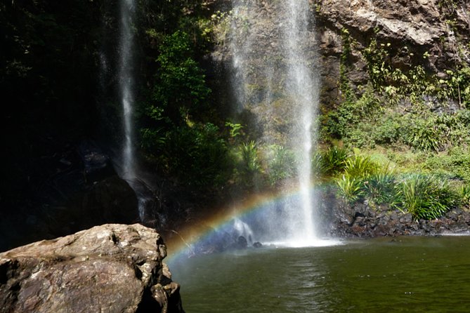Glow Worms + Day/Night Rainforest & Waterfalls Experience - Price and logistics: what $142.73 buys you (and what it doesn’t)
