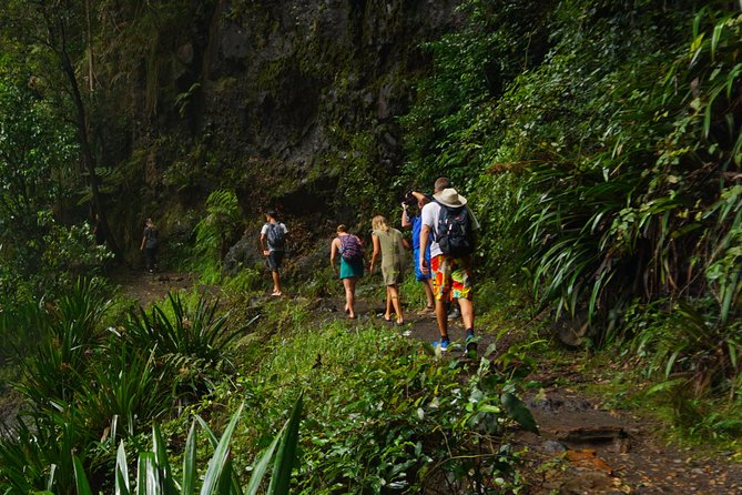 Glow Worms - Nocturnal Rainforest/Waterfall Adventure - Key highlights at a glance