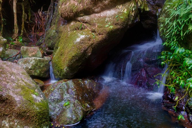 Glow Worms - Nocturnal Rainforest/Waterfall Adventure - Weather, stars, and the one thing that can change your night