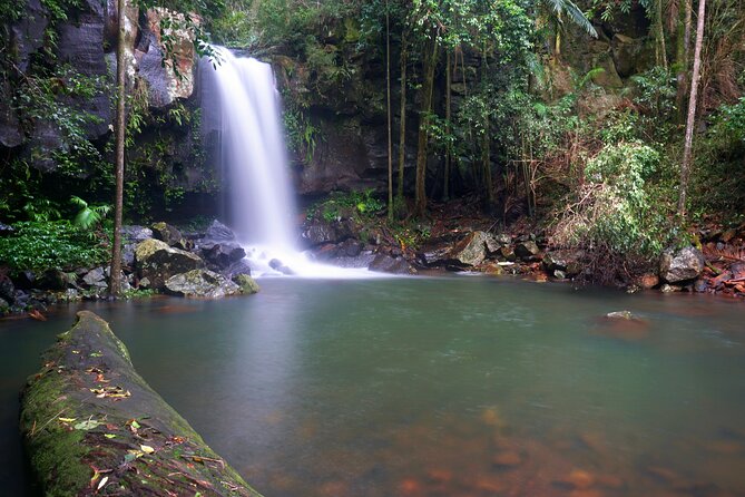 Glow Worms - Nocturnal Rainforest/Waterfall Adventure - The night hike: waterfall base, creeks, and what the rainforest looks like after dark