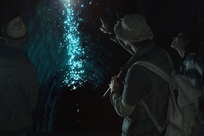 Glow-worms, Waterfalls & Rainforest Experience - Key highlights you’ll actually care about