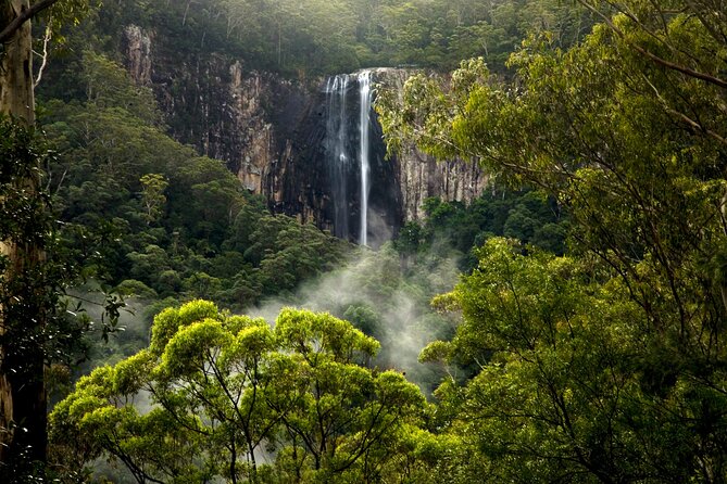 Glow-worms, Waterfalls & Rainforest Experience - Getting there and getting motion-sick