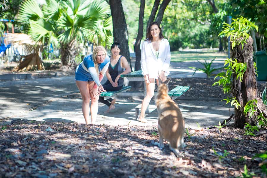 Gold Coast: 1.5-Hour Jet Ski Safari to Stradbroke Island - The 40 km ride: what the route feels like in motion