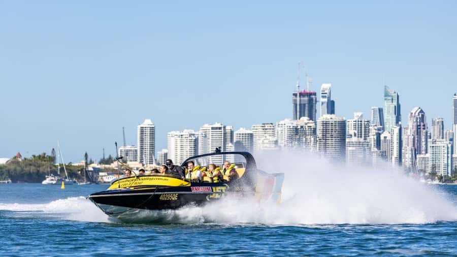 Gold Coast: 1-Hour Extreme Jet Boat Ride - Wildlife odds: dolphins, wallabies, and birds from the water