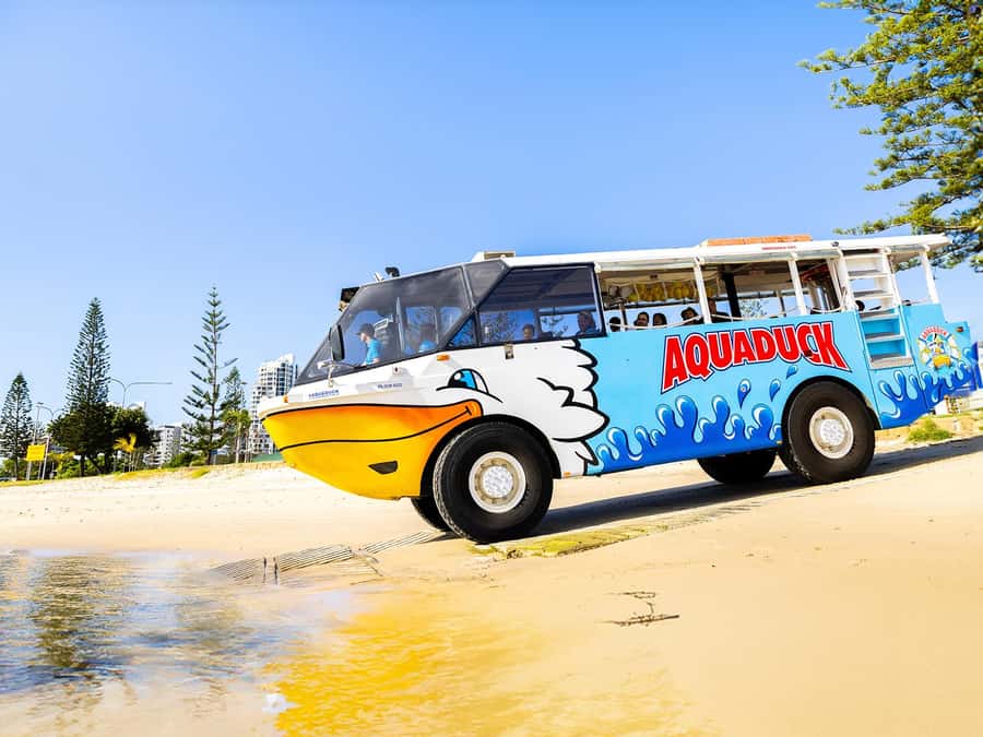 Gold Coast: 1-Hour Land and Water Duck Tour - Surfers Paradise start: meet the Aquaduck Office and get ready for the steps