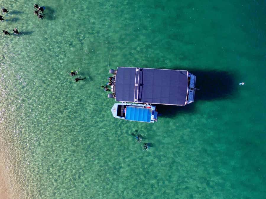 Gold Coast: 3-Day PADI Open Water Course - The instructors: Ryan, Rhan, and Josh set the tone for beginners