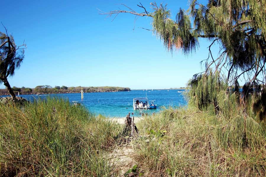 Gold Coast: 3-Day PADI Open Water Course - The fun side: boogie board time and watching sea life