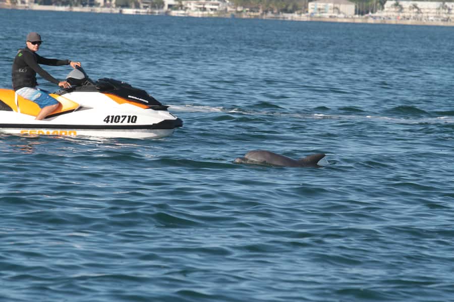 Gold Coast: 30 min Jet Ski Hire - No Slow Zones - Gold Coast Jet Ski Circuit: What No Slow Zones Really Means