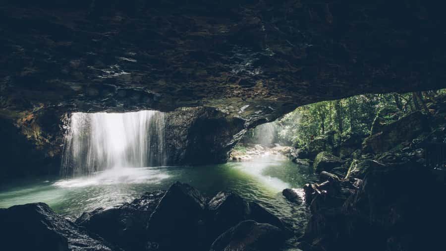 Gold Coast: 6 Waterfalls, Koalas & Natural Bridge Day Tour - Key highlights worth your attention