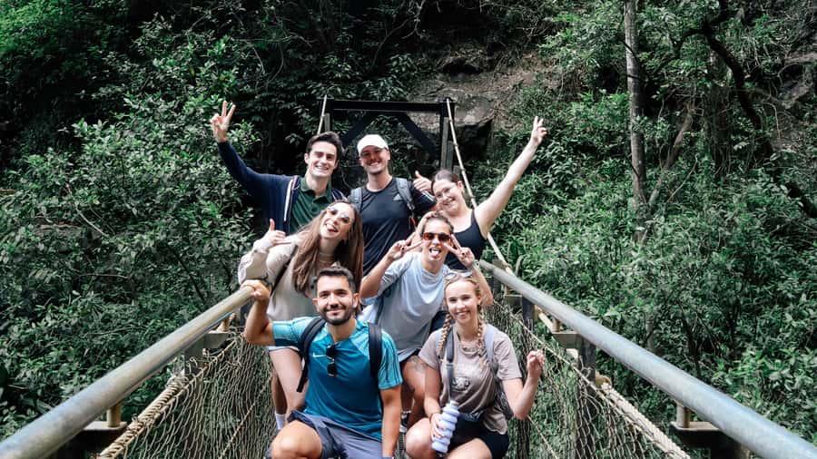 Gold Coast: 6 Waterfalls, Koalas & Natural Bridge Day Tour - Why this Gold Coast–Springbrook day tour feels worth it