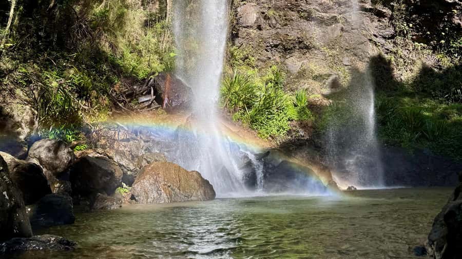 Gold Coast: 6 Waterfalls, Koalas & Natural Bridge Day Tour - Twin Falls Circuit: the best mix of walking, sound, and waterfall variety