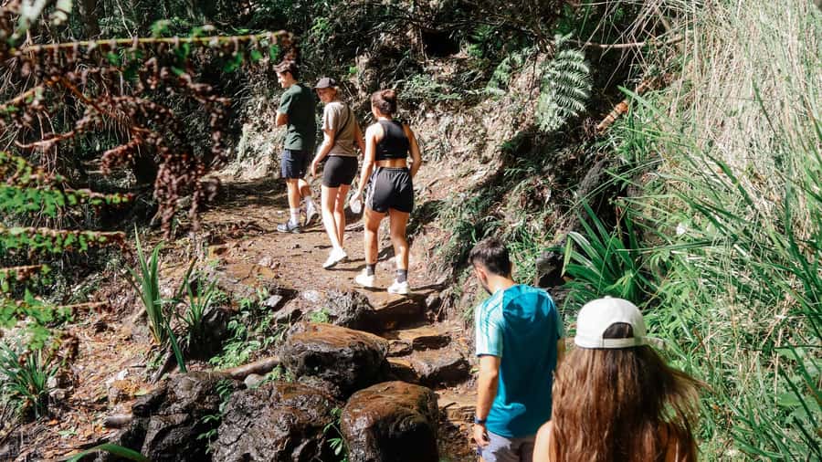 Gold Coast: 6 Waterfalls, Koalas & Natural Bridge Day Tour - Food, water, and the photo plan that makes the day easier