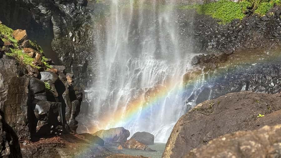 Gold Coast: 6 Waterfalls, Koalas & Natural Bridge Day Tour - The $126 value: what you’re really paying for