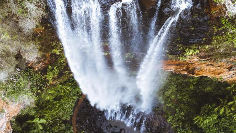 Gold Coast: 6 Waterfalls, Koalas & Natural Bridge Day Tour - Coombabah Lake: how to maximize your chances at koalas and kangaroos