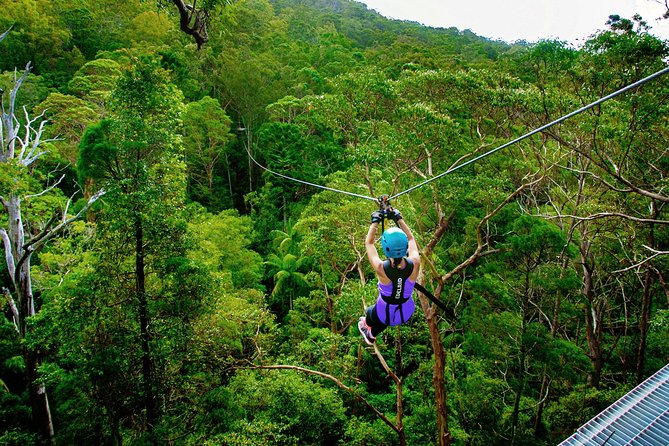 Gold Coast Canyon Flyer Zipline Tour - Canyon Flyer in plain English: what you’re actually signing up for