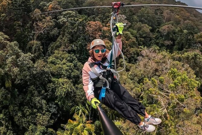 Gold Coast Canyon Flyer Zipline Tour - Getting to TreeTop Challenge: your start point on Mt Tamborine