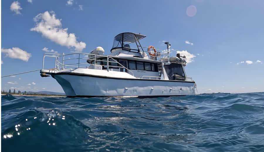 Gold Coast: Cook Island Marine Reserve Scuba Experience Dive - Boat Ride to Cook Island (Jungarra Ngarrian) and Turtle Island Energy