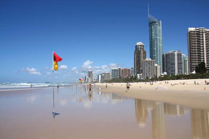 Gold Coast Day Tour From Brisbane - Coombabah Lakelands: Kangaroos and Koalas First Thing