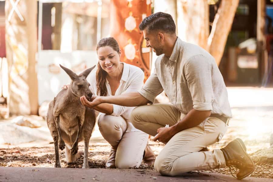 Gold Coast: Dreamworld 1-Day Entry Ticket - Key points before you go