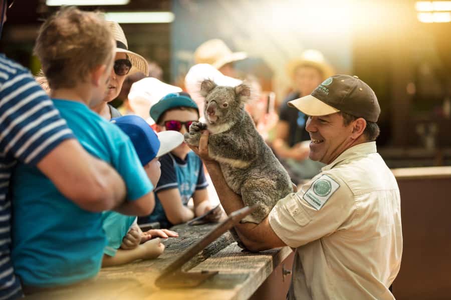 Gold Coast: Dreamworld 1-Day Entry Ticket - Tiger Island: tigers up close, with a conservation angle