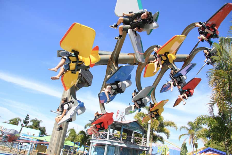 Gold Coast: Dreamworld 1-Day Entry Ticket - Wildlife Precinct: koalas, kangaroos, dingoes, and crocodiles
