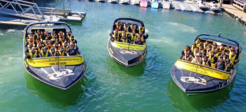 Gold Coast: Extreme Jet Boat Blast Ride - Wildlife chances in the Marine Park: dolphins, wallabies, and birds