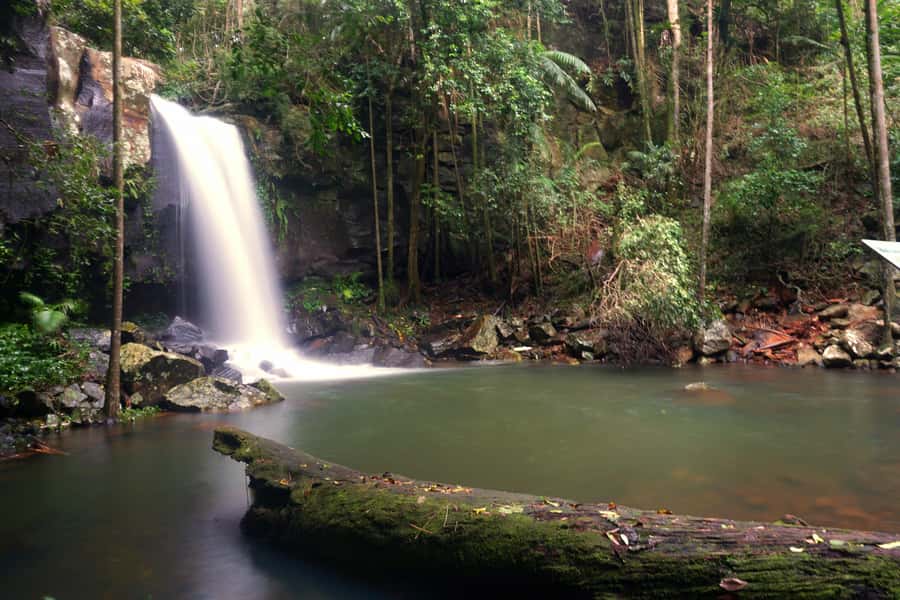 Gold Coast: Glow Worms Day/Night Rainforest & Waterfall Walk - Stopping for Natural Bridge and multiple waterfall bases