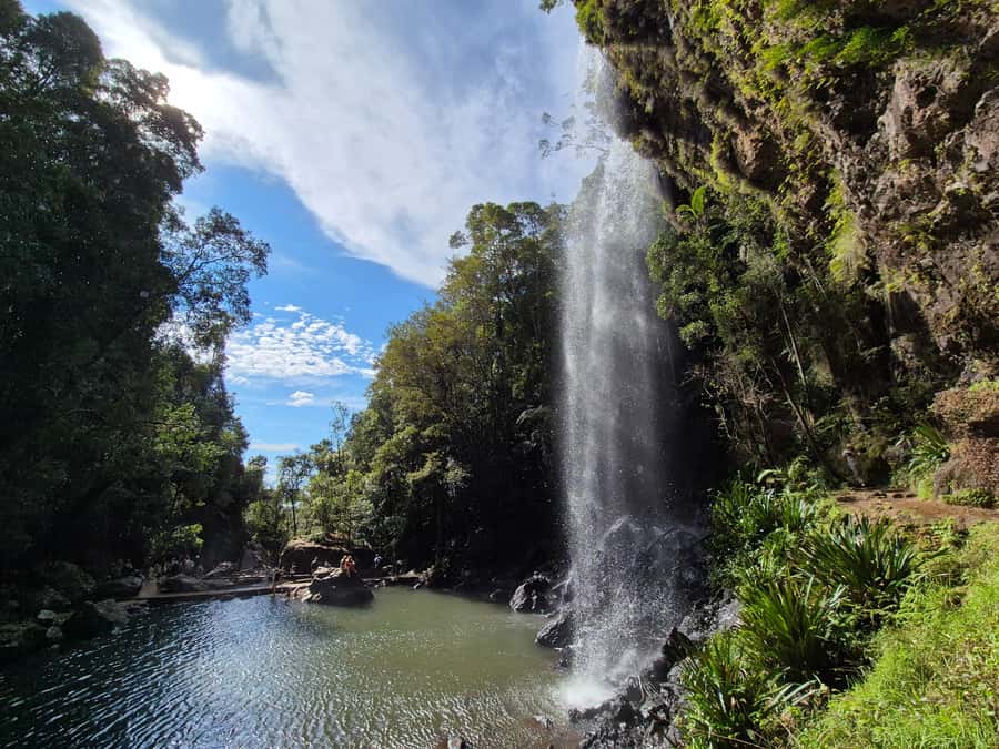Gold Coast: Glow Worms Day/Night Rainforest & Waterfall Walk - The ride to Tamborine: when the day slows down and dusk starts doing its thing