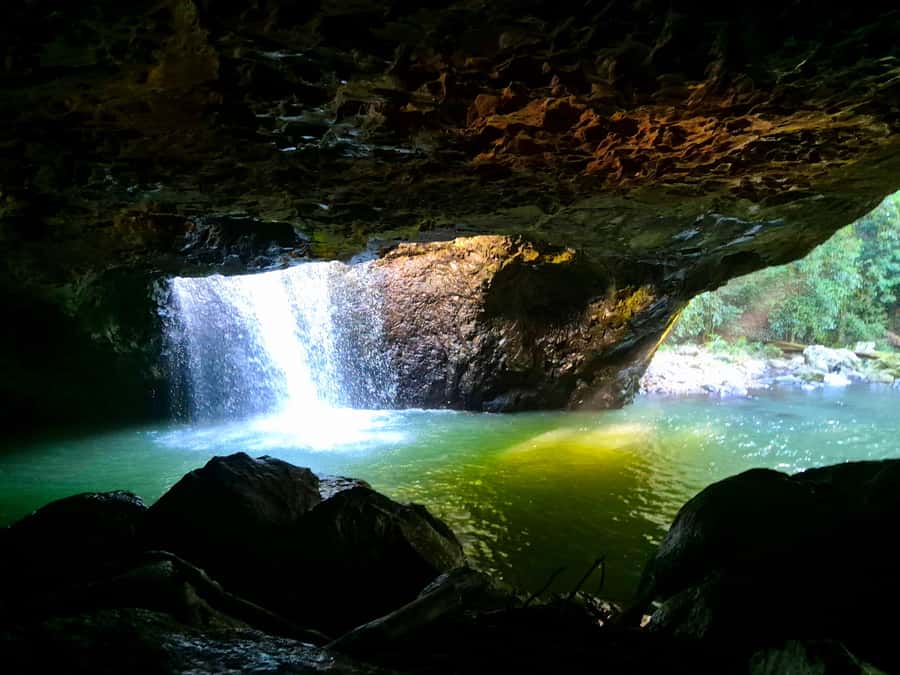 Gold Coast: Glow Worms Day/Night Rainforest & Waterfall Walk - Dusk meal and wildlife chances: pademelons and parrots at the right hour
