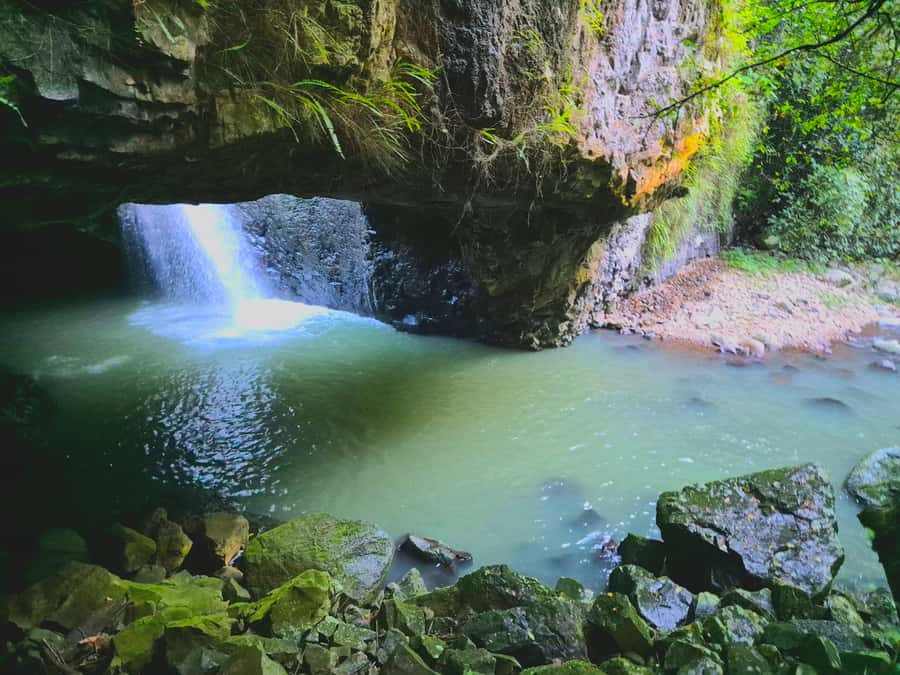 Gold Coast: Glow Worms Day/Night Rainforest & Waterfall Walk - Headlamps, red-light walking, and staying comfortable in the dark
