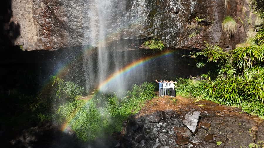Gold Coast: Glow Worms Day/Night Rainforest & Waterfall Walk - Logistics that matter: pickup windows, end time, and where you’ll get dropped