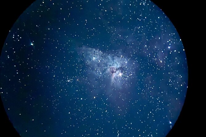 Gold Coast: Glow Worms, Sunset & Stargazing with BBQ dinner - Gold Coast to Tamborine Mountain: a 6-hour plan that actually makes sense