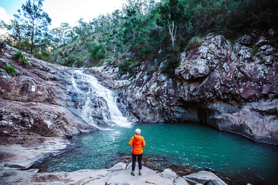 Gold Coast: Hop on Hop off Bus to Tamborine Mountain - Wineries, distilleries, and Fortitude Brewing: tasting without the planning headache