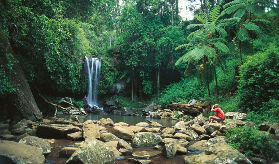 Gold Coast: Hop on Hop off Bus to Tamborine Mountain - Botanic Gardens closure: how to adjust without losing your day