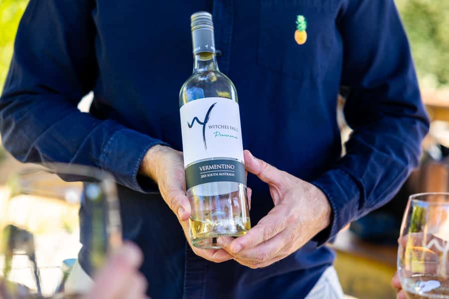 Gold Coast: Hop on Hop off Wine Tasting Tour to Mt Tamborine - Who this tour is best for on the Gold Coast