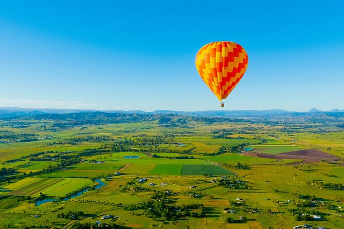 Gold Coast Hot Air Balloon + Winery Breakfast + Return Transfers - The alpaca experience: a fun bonus for the whole group