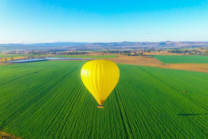 Gold Coast Hot Air Balloon + Winery Breakfast + Return Transfers - The balloon flight: serene floating over vineyards and forests