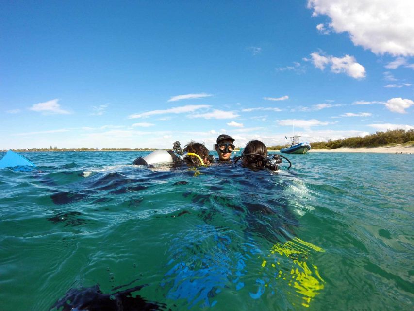 Gold Coast: Introductory SCUBA Diving Experience - Who this experience suits best (and who should skip it)