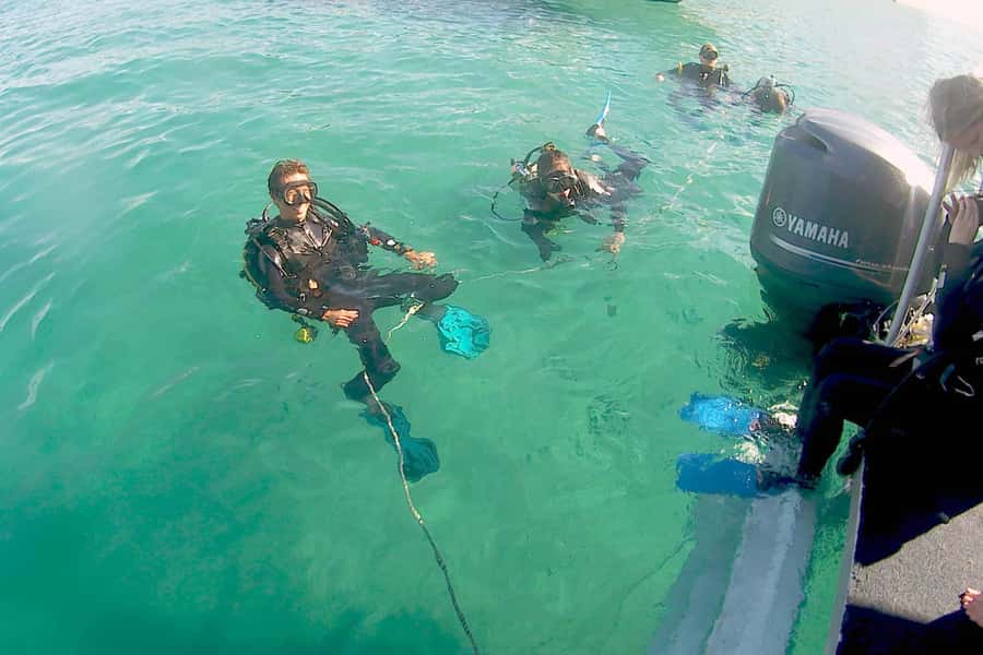 Gold Coast: Introductory SCUBA Diving Experience - First-Time SCUBA on the Gold Coast: Is $91 good value?
