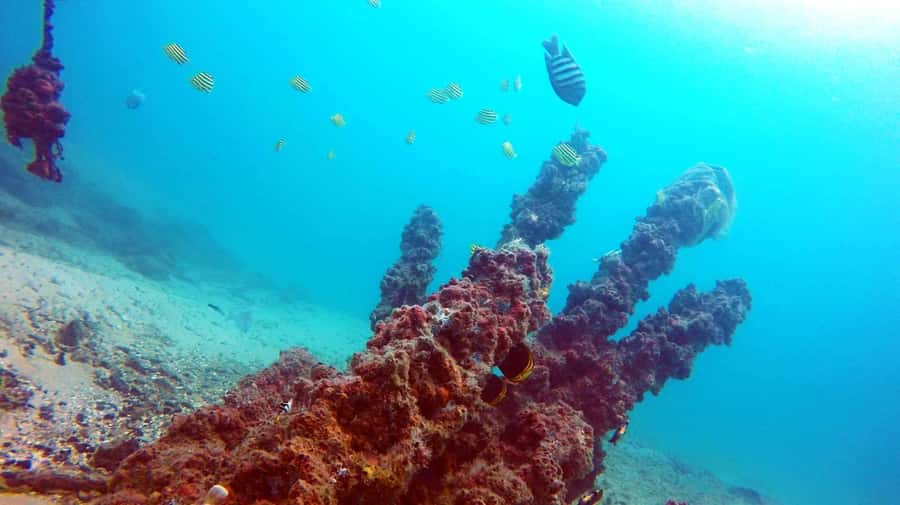 Gold Coast: Introductory SCUBA Diving Experience - The boat ride to Wave Break Island: part of the fun