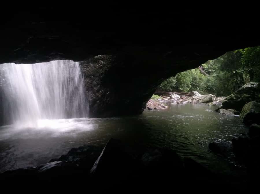 Gold Coast: Kangaroos, Rainforest & Waterfalls Experience - The waterfall circuit: three bases plus viewpoints (and a swim option)