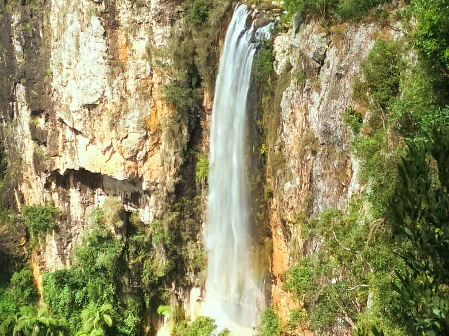 Gold Coast: Kangaroos, Rainforest & Waterfalls Experience - Should you book this Gold Coast rainforest day trip?