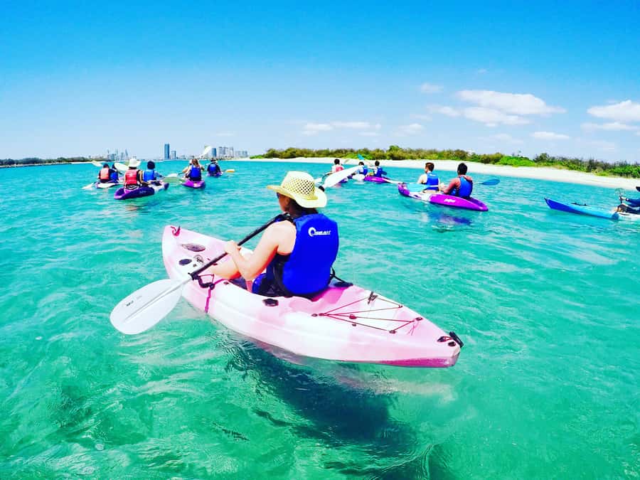 Gold Coast: Kayaking and Snorkeling Guided Tour - Wildlife odds: Dolphins and stingrays, plus what you’re really watching for