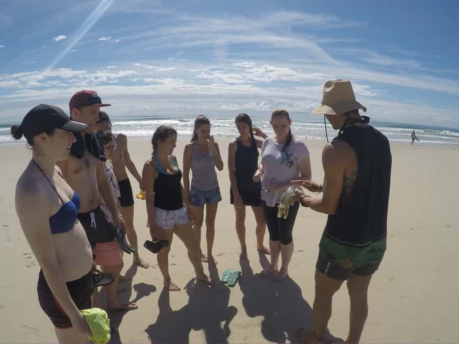 Gold Coast: Kayaking and Snorkeling Guided Tour - Price and value at $53: What you’re paying for (and what you’re not)