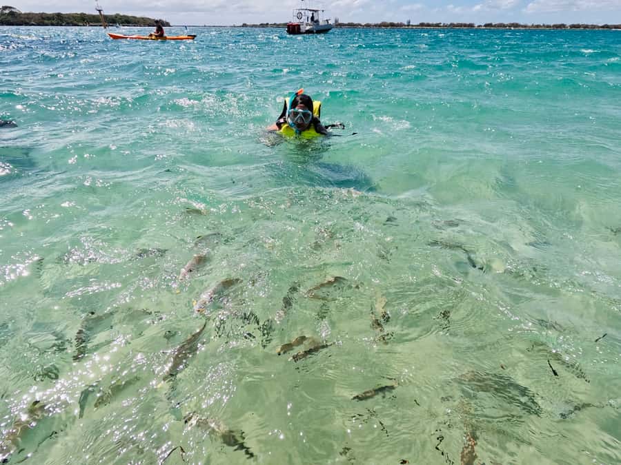 Gold Coast: Kayaking and Snorkeling Guided Tour - Meeting point and getting ready: The Biggera Waters details that matter