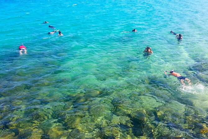 Gold Coast Kayaking & Snorkelling Tour (2.5 Hours) - Key highlights at a glance